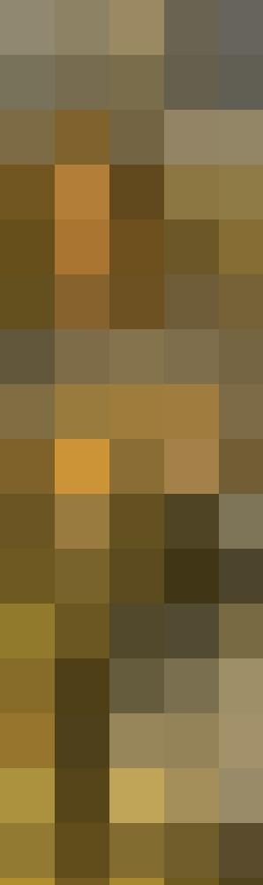 Eri89 Profilbild