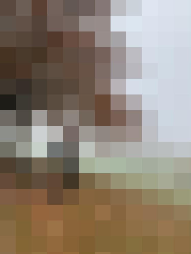 ZuSeinerZeit Profilbild
