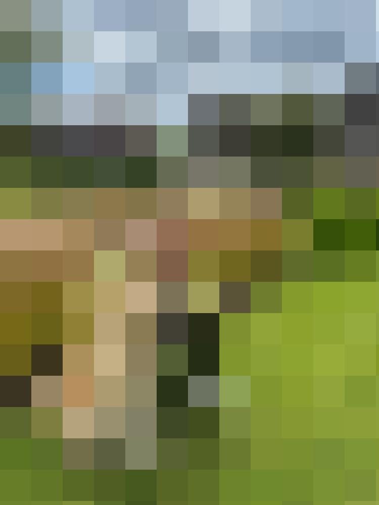 Marica-Maya Profilbild