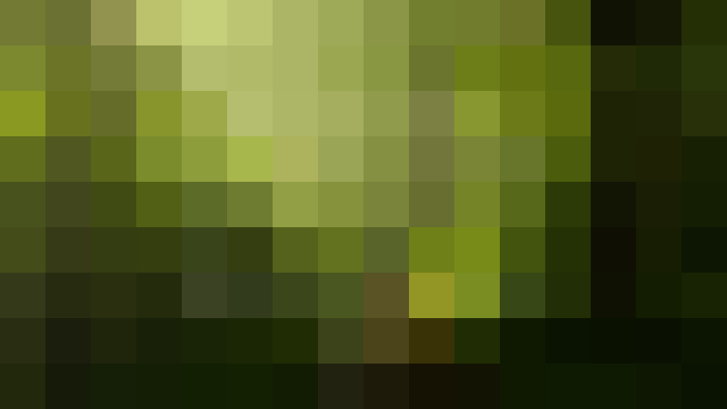 Lobe_den_Herren Zusatzbild #11