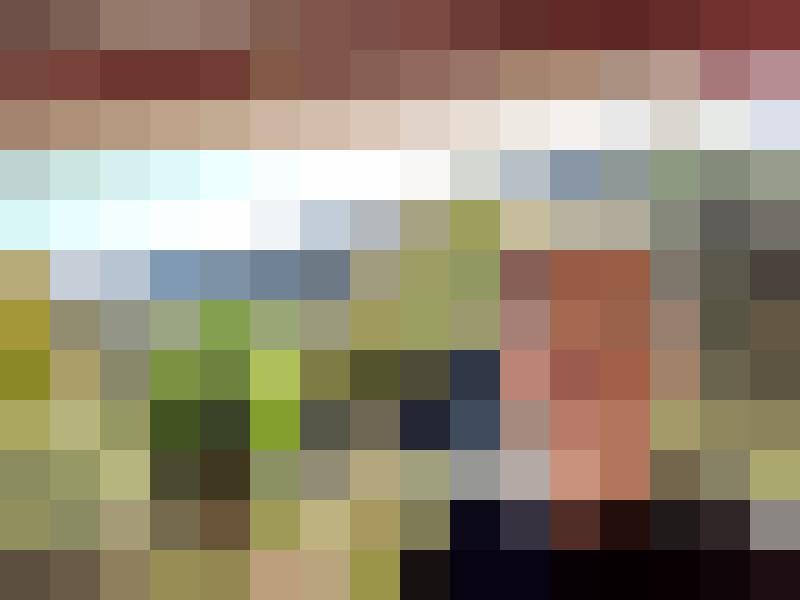 Anemos Profilbild