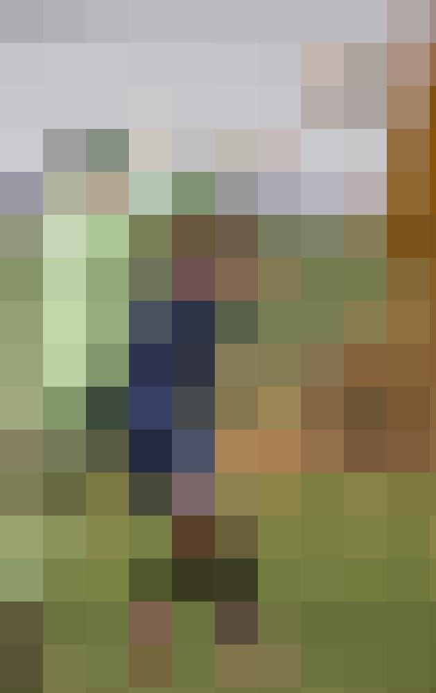 Piepseronfire Zusatzbild #1