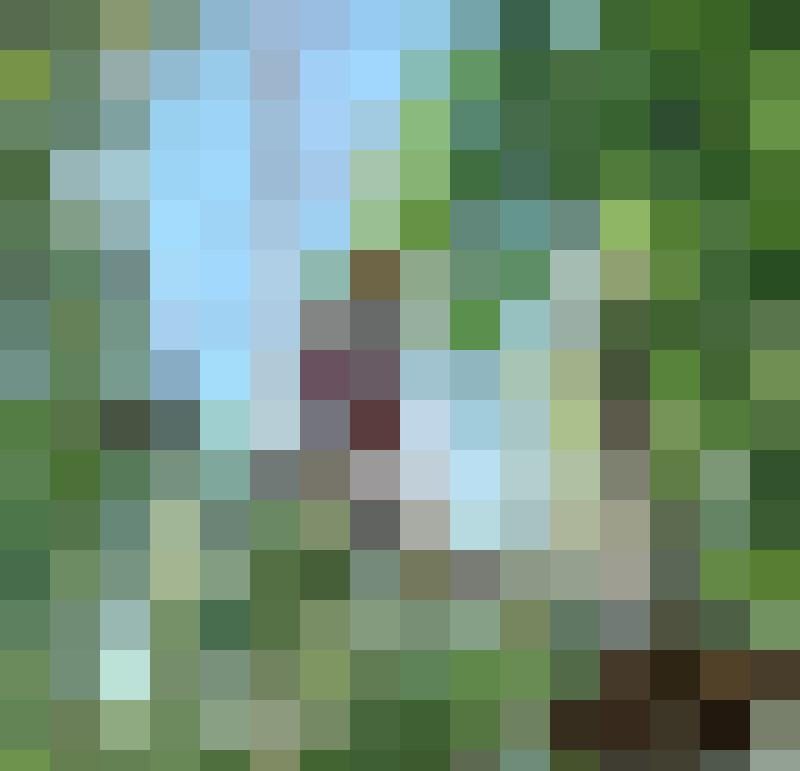 Piepseronfire Zusatzbild #2