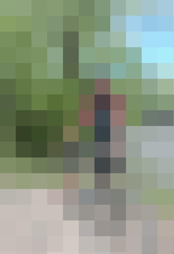 Crossjordan Zusatzbild #1