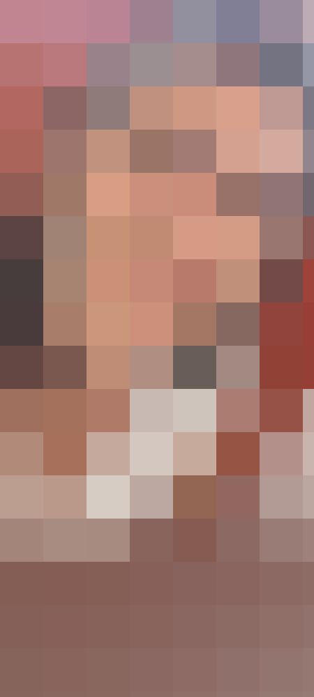 Tulpe Profilbild