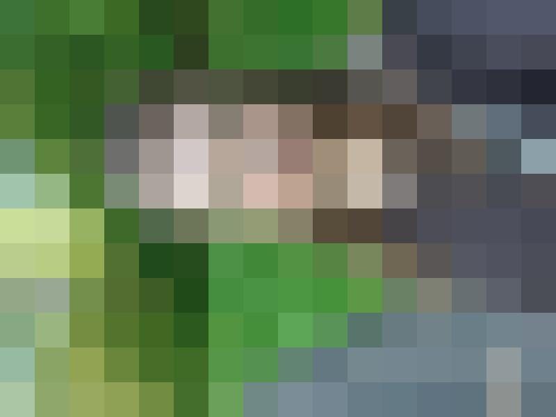 Tine.10 Profilbild