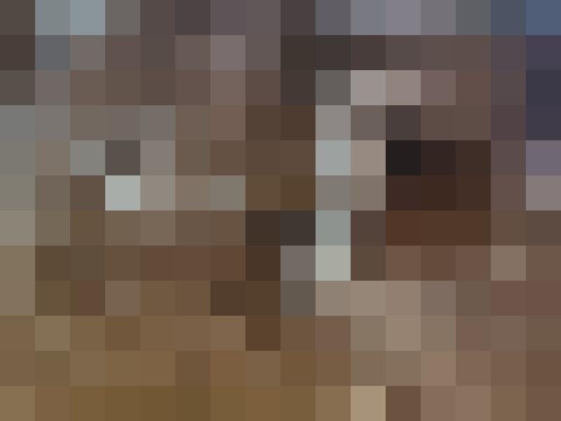 Werner Profilbild