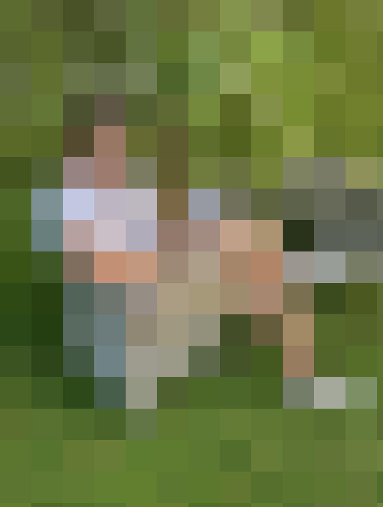 -Daniel- Zusatzbild #1