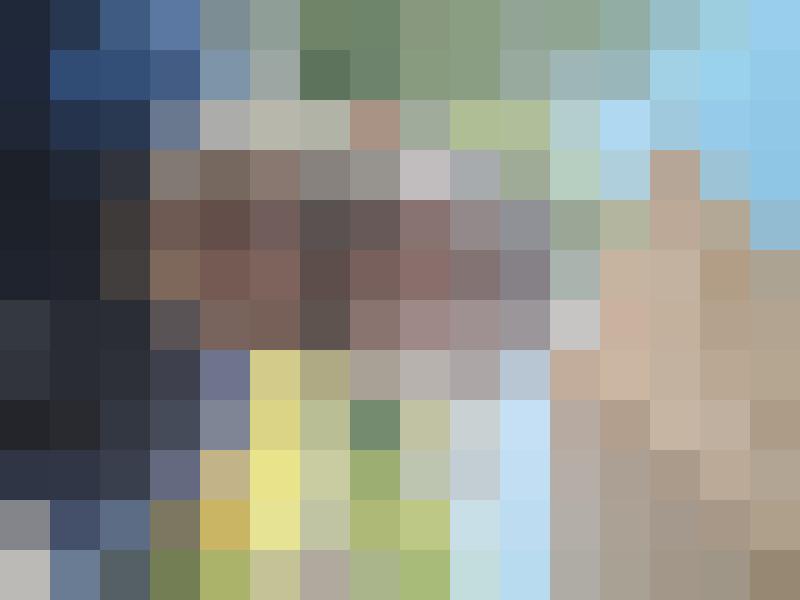 Studiofrosch Profilbild