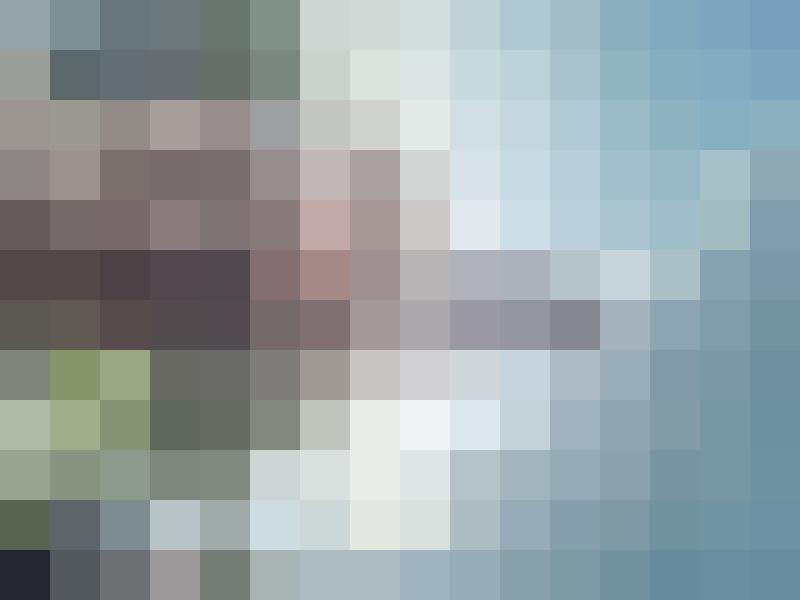 Studiofrosch Zusatzbild #1