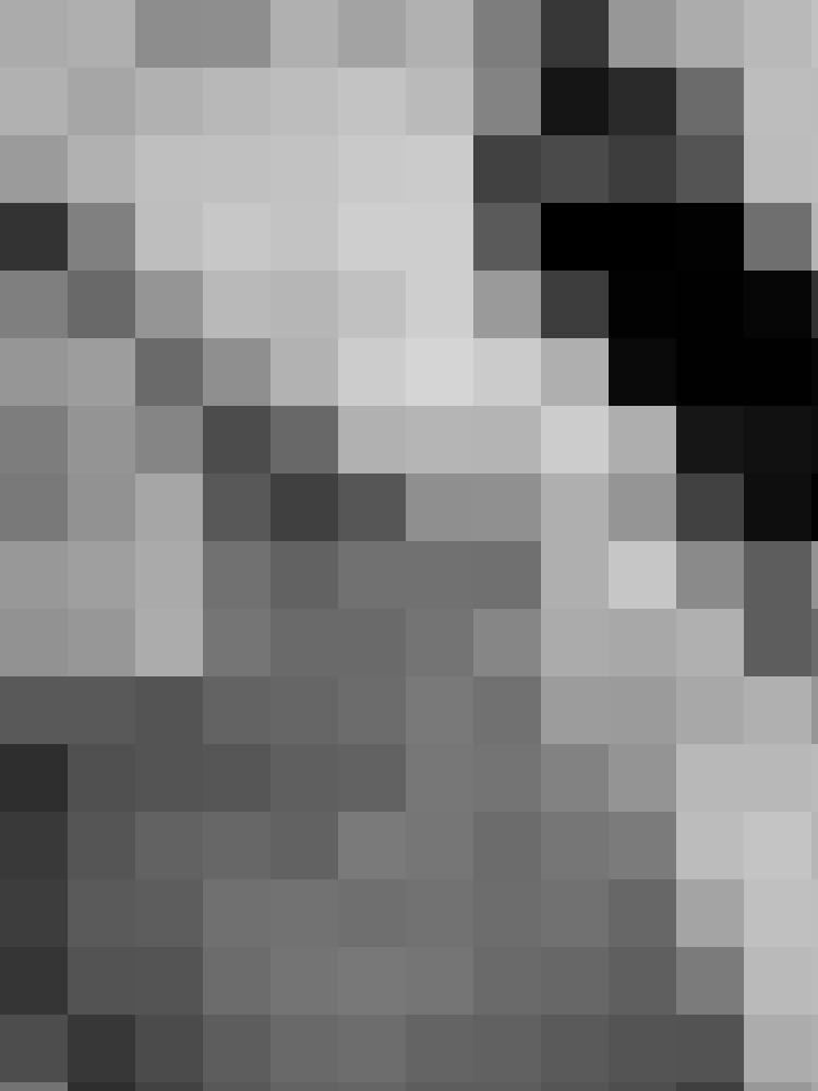 Schaf44 Profilbild