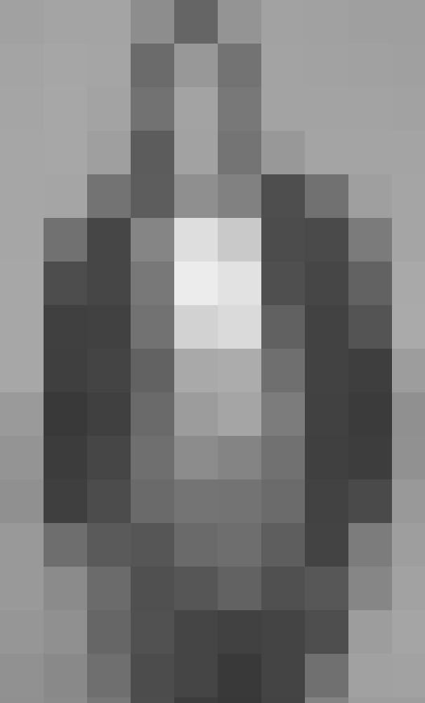 Elon Profilbild