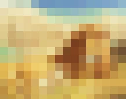 Dating-sites für christliche singles kostenlos