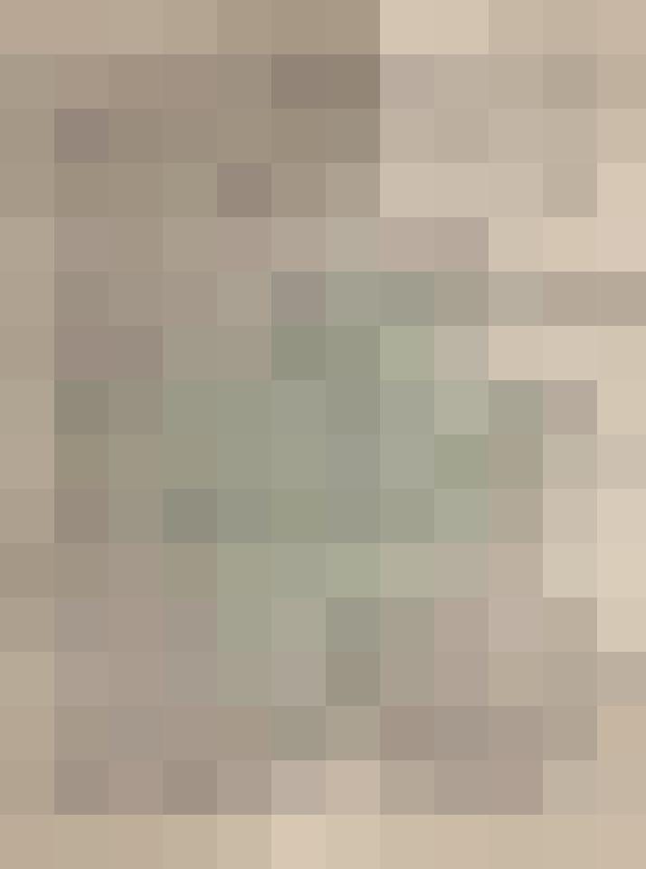 Aussaetzige Zusatzbild #11
