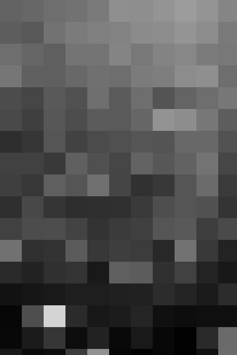 Aussaetzige Zusatzbild #6