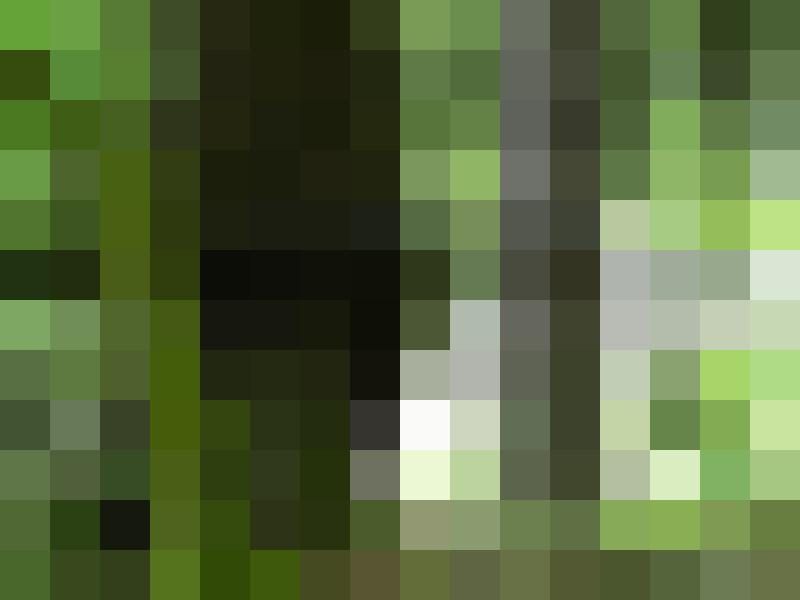 Stefan68 Zusatzbild #6