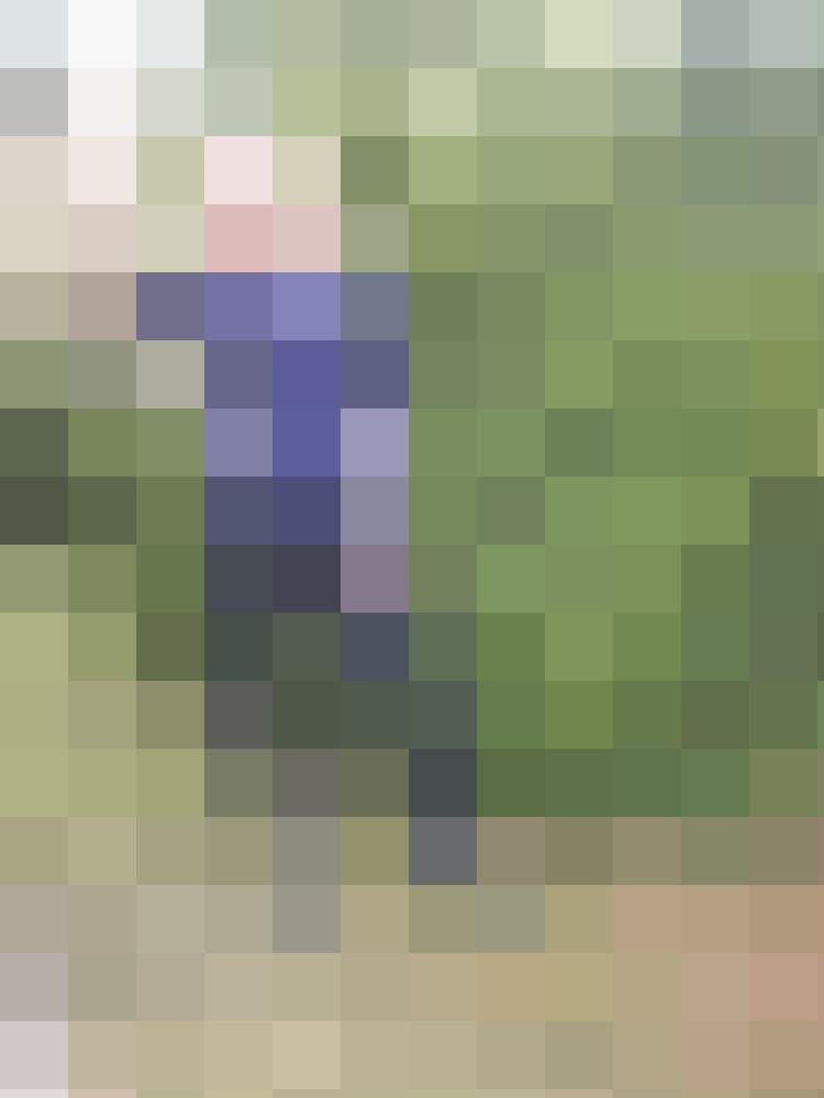 Kostenlose partnersuche braunschweig