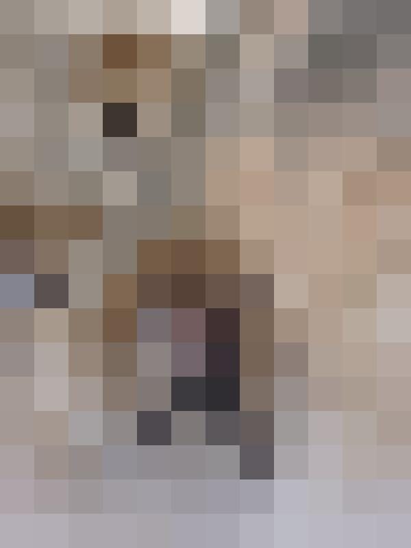 Kordula Zusatzbild #2