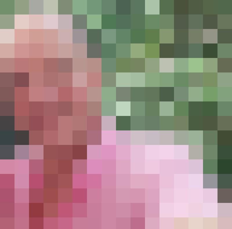 wortmann Profilbild