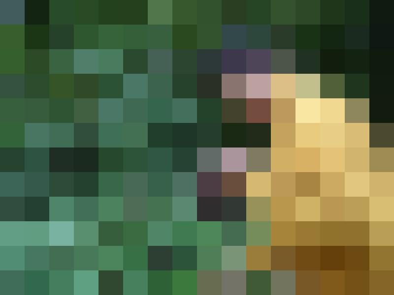 fischemann Zusatzbild #9