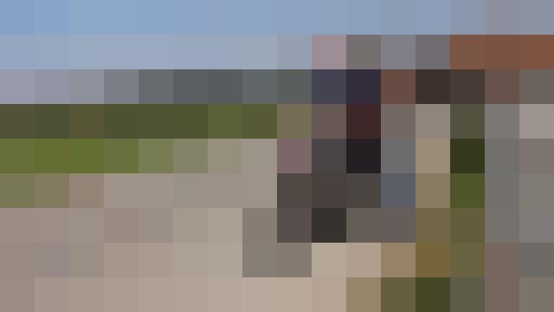 fischemann Zusatzbild #11
