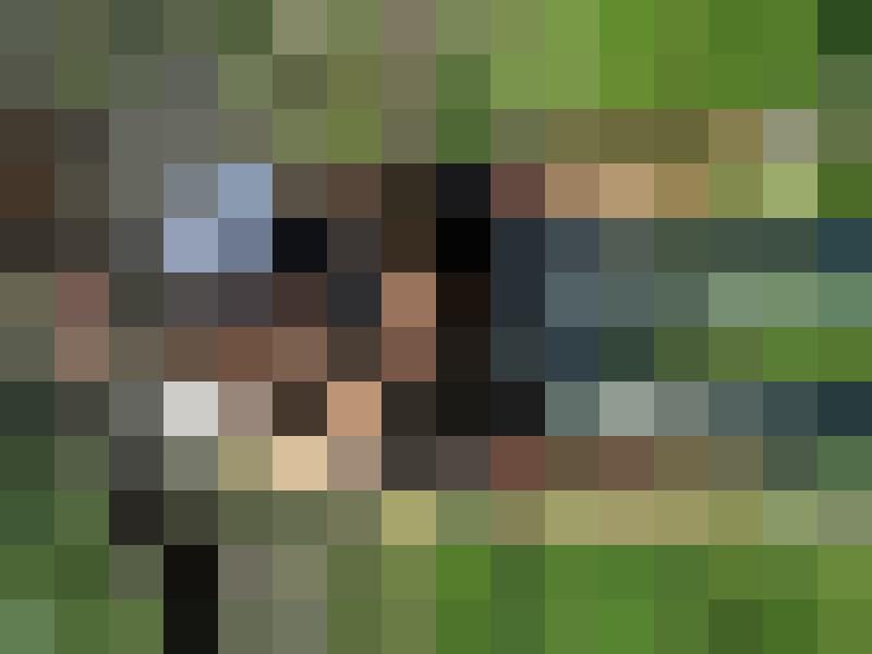 fischemann Zusatzbild #2