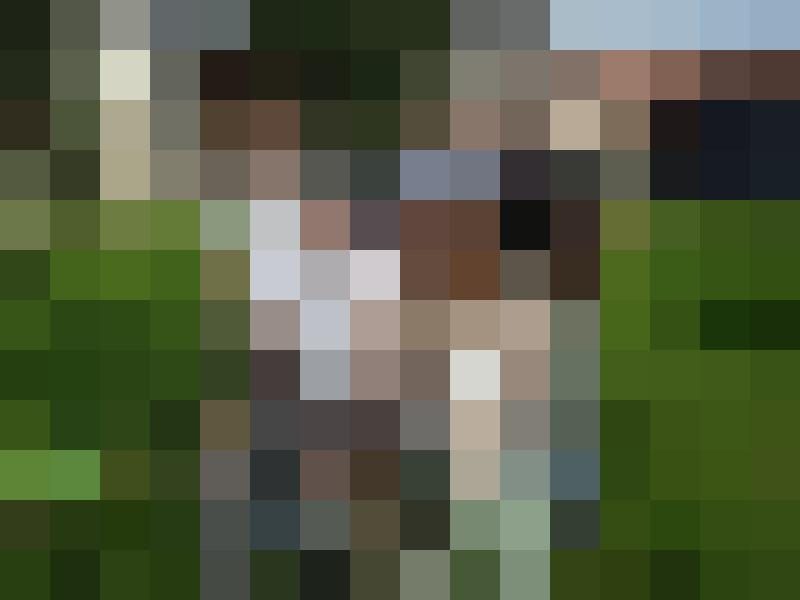 fischemann Zusatzbild #4