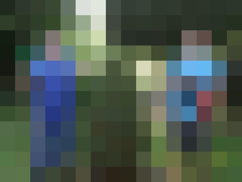 fischemann Zusatzbild #6