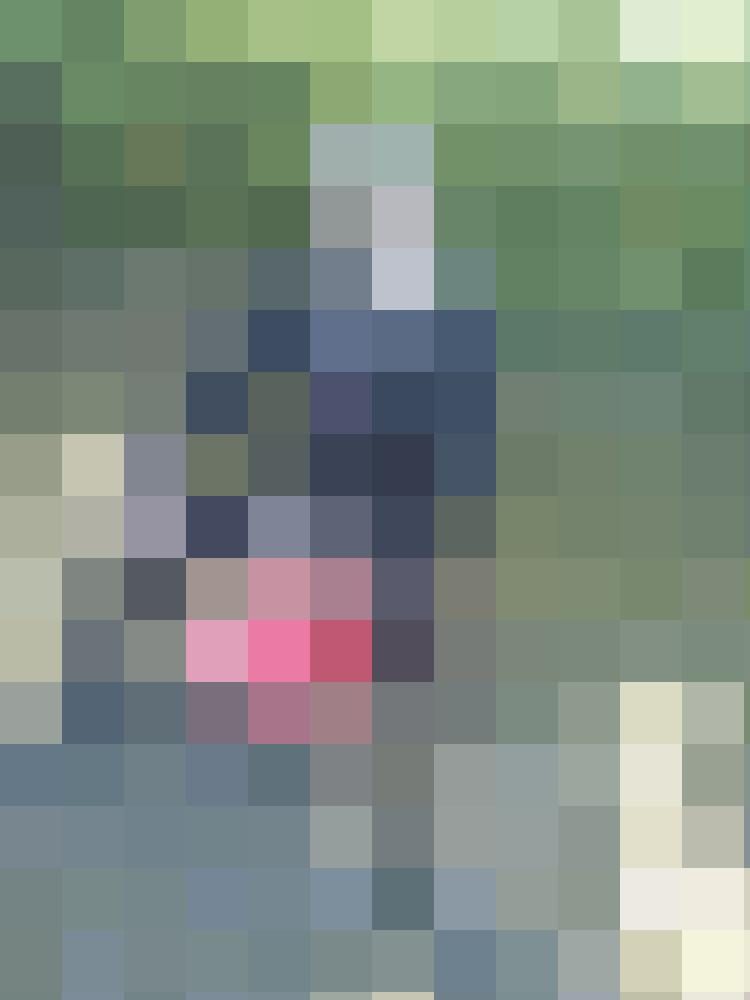 Chait Zusatzbild #1