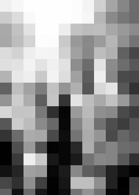 Ansn Zusatzbild #4