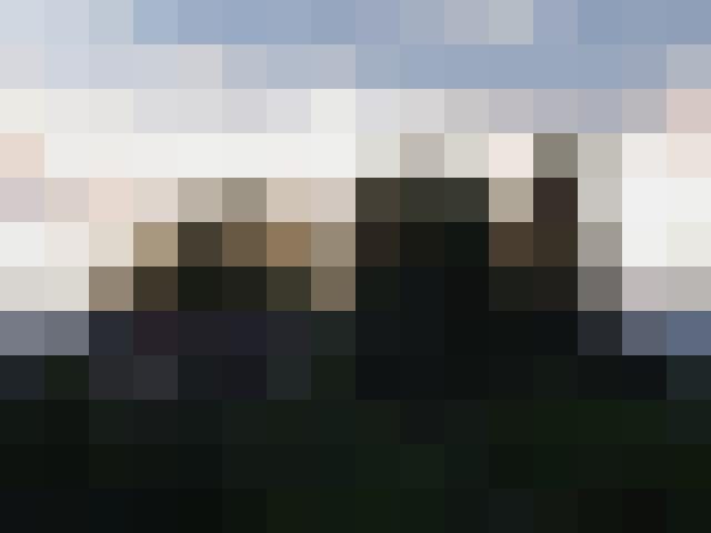 Delphin02 Zusatzbild #8