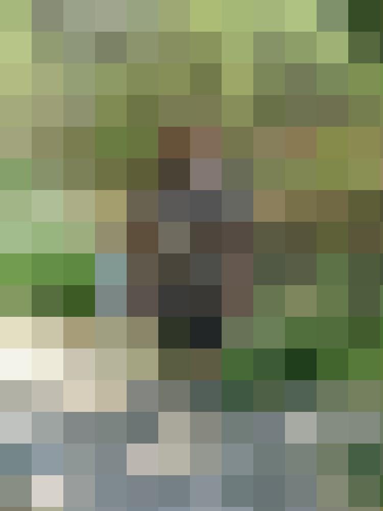 Artur-B Zusatzbild #1
