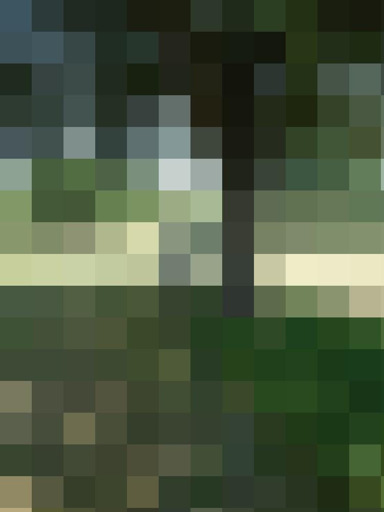 Artur-B Zusatzbild #3