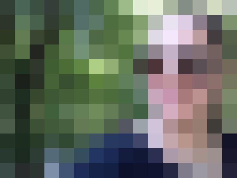 DamHarris Profilbild