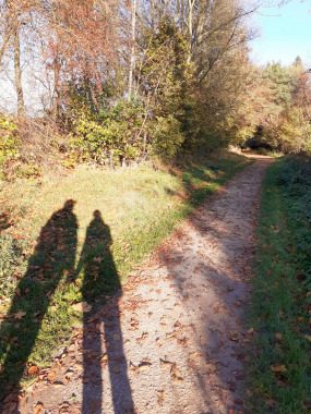 ... und dann ging alles ganz schnell - Einen Partner - Liebe, Partnerschaft, Unerwartet